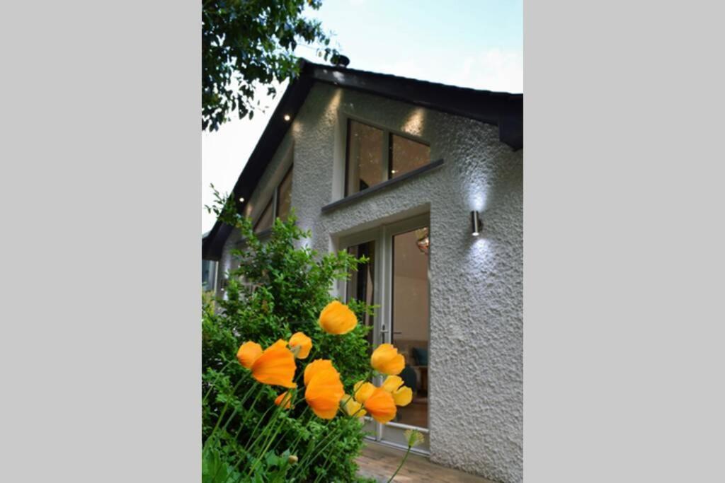 Ness Lodge Inverness Dış mekan fotoğraf